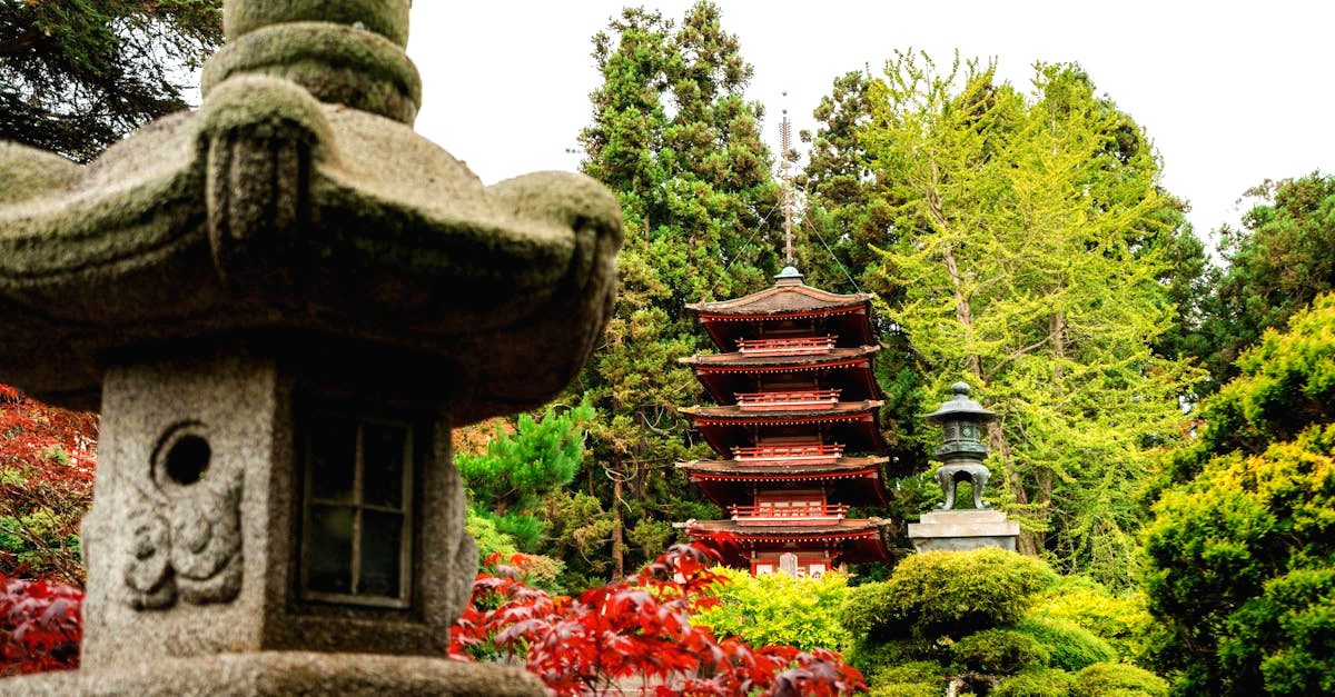 découvrez l'art fascinant du bonsaï, une pratique millénaire qui allie patience et créativité. apprenez à cultiver et entretenir ces arbres miniatures pour apporter une touche zen et élégante à votre intérieur ou jardin.