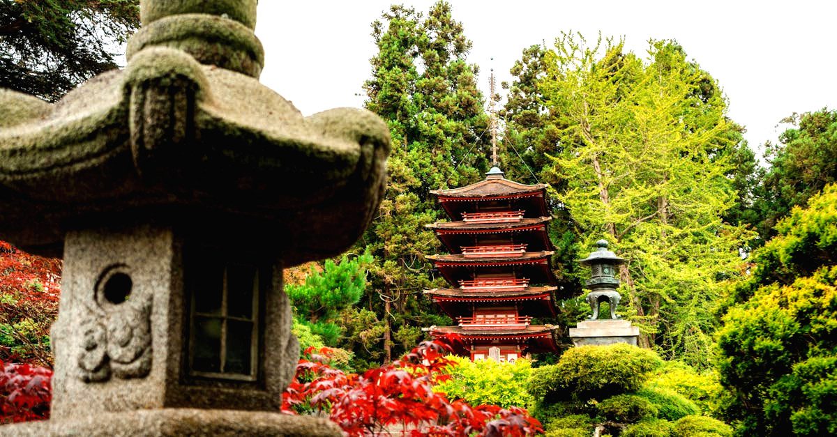découvrez l'art fascinant du bonsaï, une pratique millénaire de culture d'arbres miniatures. apprenez les techniques de taille, d'entretien et de présentation pour donner vie à votre jardin ou à votre intérieur avec ces magnifiques œuvres d'art vivantes.