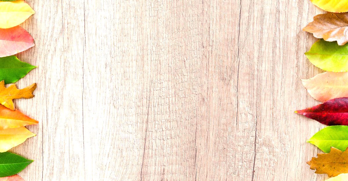 découvrez l'importance des matériaux naturels dans la construction et la décoration. apprenez comment ces ressources durables et écologiques peuvent transformer votre espace tout en préservant l'environnement.