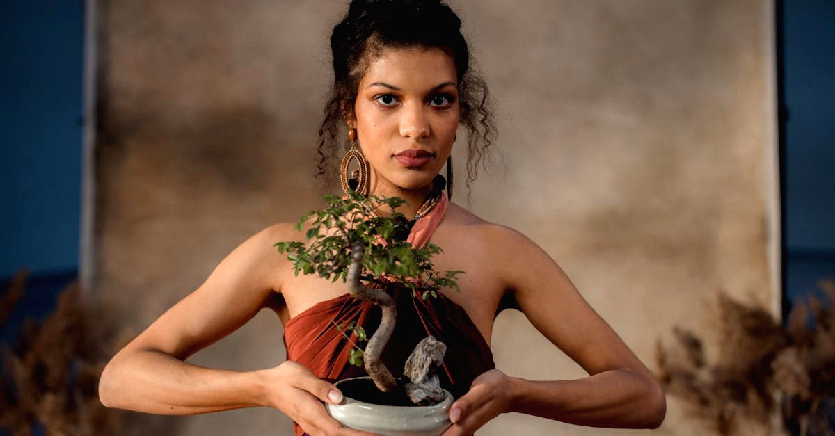 découvrez l'art fascinant du bonsaï, une pratique millénaire qui allie patience et créativité pour créer des arbres miniatures impressionnants. apprenez les techniques de culture, de taille et d'entretien pour donner vie à votre propre forêt miniature chez vous.