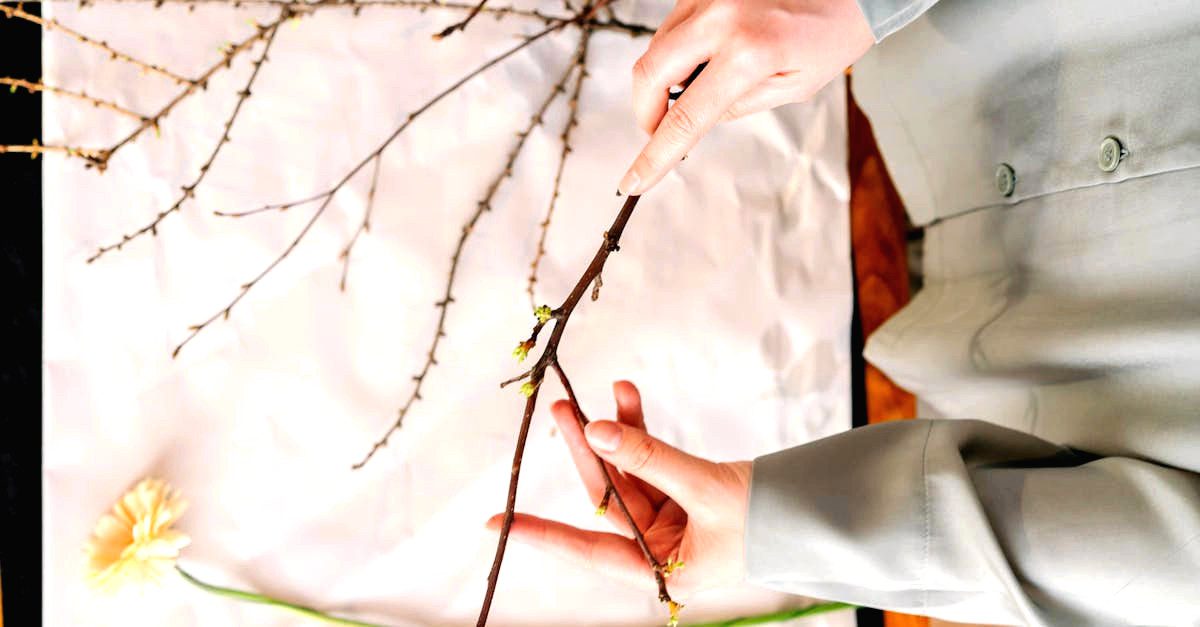 découvrez l'art traditionnel japonais de l'ikebana, une forme de composition florale qui allie esthétique et sérénité. apprenez les techniques, les styles et l'histoire de cet art raffiné qui transforme des fleurs simples en œuvres d'art captivantes.