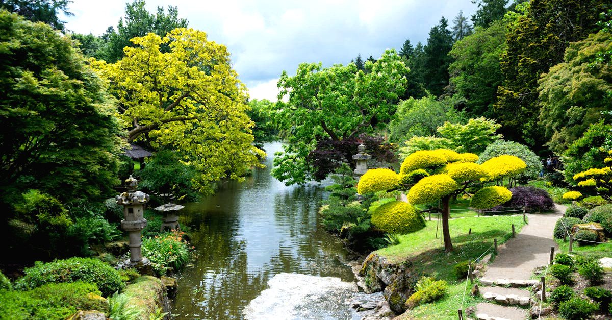 découvrez l'art japonais de l'ikebana, une forme de composition florale qui allie esthétique, équilibre et harmonie. apprenez les techniques traditionnelles et modernes pour créer des arrangements végétaux uniques qui apportent sérénité et beauté à votre espace.
