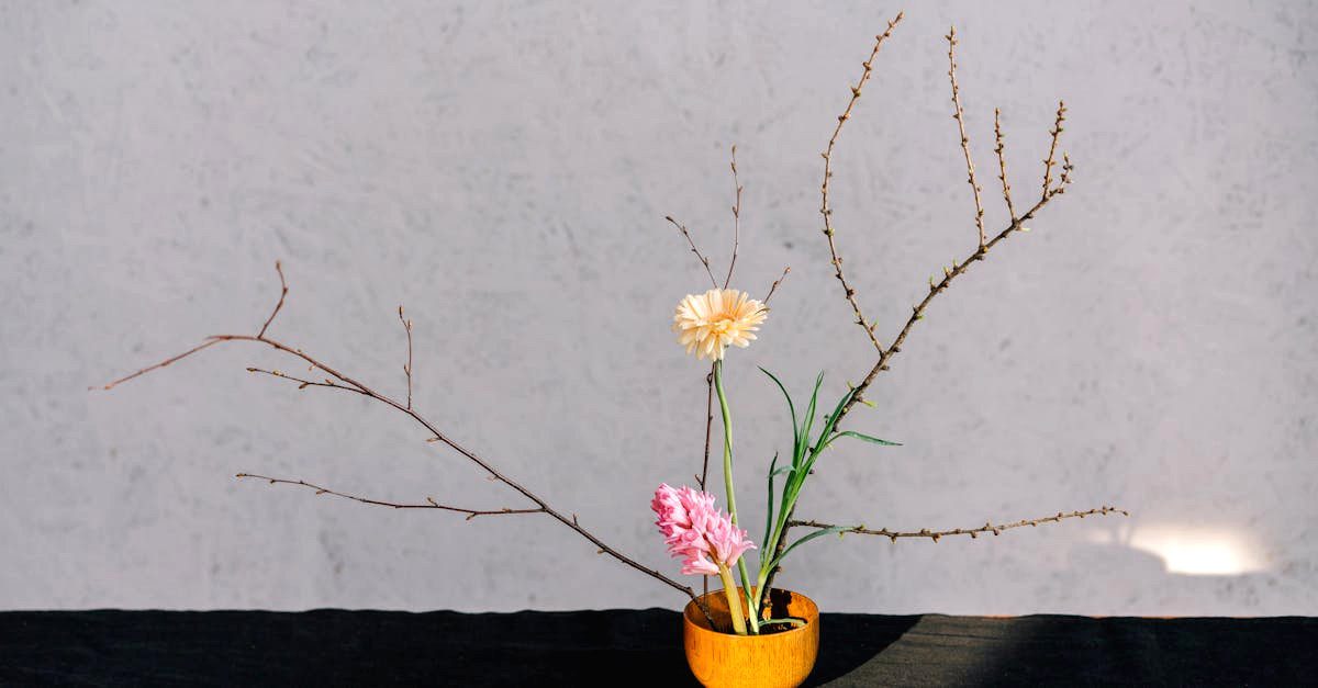 découvrez l'art délicat de l'ikébana, la composition florale japonaise qui allie esthétique et harmonie. apprenez à créer des arrangements élégants et zen, reflet de la nature et de la spiritualité. explorez les techniques traditionnelles et laissez libre cours à votre créativité.