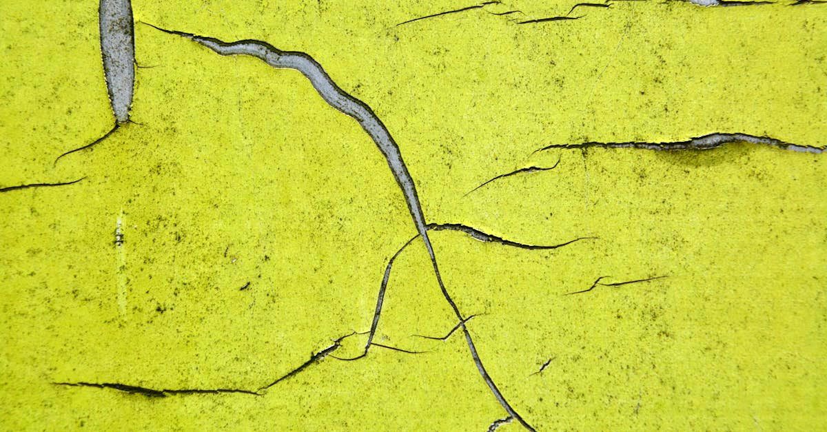 découvrez 'paper walls', une exploration fascinante des limites et des séparations dans notre vie quotidienne. plongez dans un univers où les murs de papier symbolisent les frontières fragiles entre les émotions, les relations et les rêves. une réflexion inspirante sur la vulnérabilité et la force humaine.