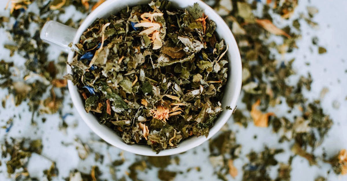 découvrez l'art apaisant de la cérémonie du thé, une tradition culturelle enrichissante qui allie harmonie, sérénité et dégustation raffinée. plongez dans cette expérience sensorielle unique et apprenez l'histoire et les rituels autour de cette pratique millénaire.
