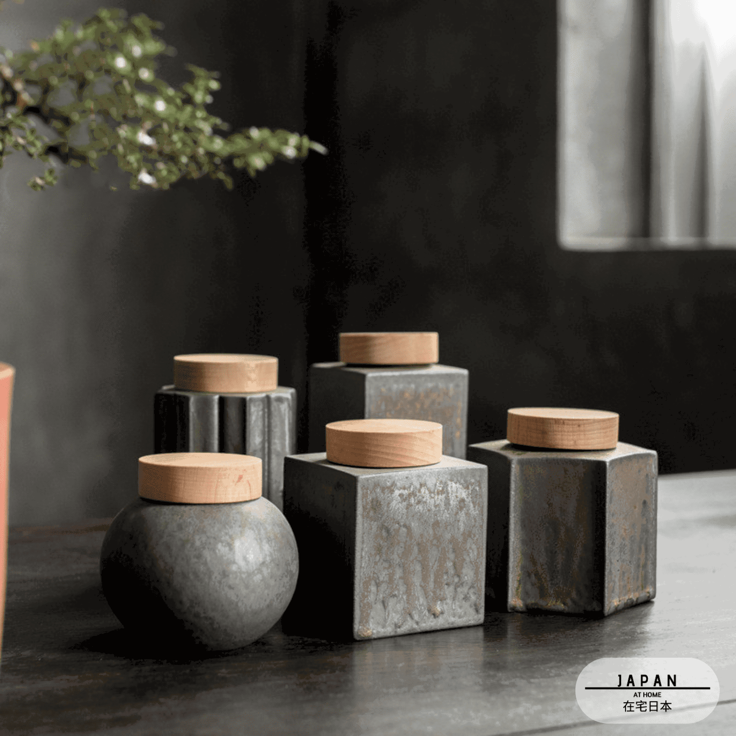 Cinq pots à thé Kanazawa de formes différentes réunis près d'une plante